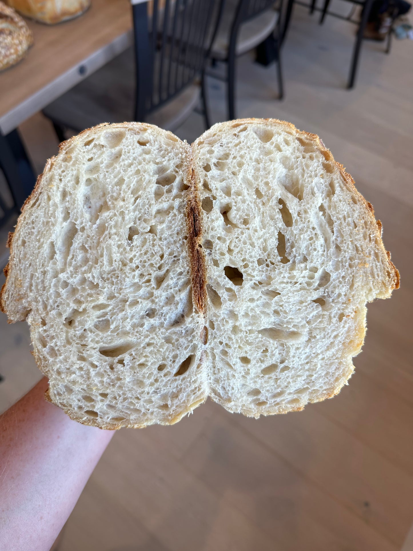 Organic Dehydrated Sourdough Starter